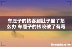 车厘子的核吞到肚子里了怎么办 车厘子的核咬破了有毒吗