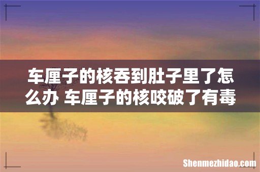 车厘子的核吞到肚子里了怎么办 车厘子的核咬破了有毒吗