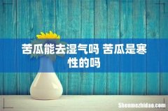 苦瓜能去湿气吗 苦瓜是寒性的吗