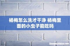 杨梅怎么洗才干净 杨梅里面的小虫子能吃吗