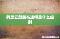 阿里云麒麟布道师是什么级别