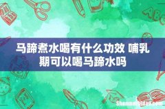 马蹄煮水喝有什么功效 哺乳期可以喝马蹄水吗