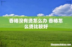 香椿没有烫怎么办 香椿怎么烫比较好