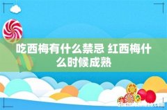 吃西梅有什么禁忌 红西梅什么时候成熟