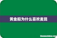 黄金船为什么喜欢麦昆