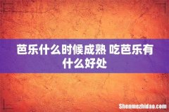 芭乐什么时候成熟 吃芭乐有什么好处
