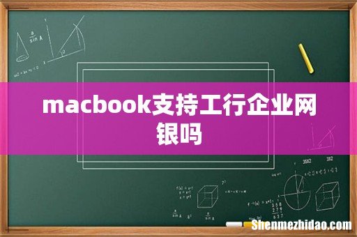 macbook支持工行企业网银吗