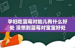 孕妇吃蓝莓对胎儿有什么好处 没想到蓝莓对宝宝好处这么多