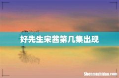 好先生宋茜第几集出现