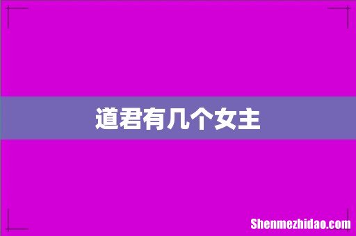 道君有几个女主