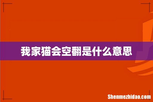 我家猫会空翻是什么意思
