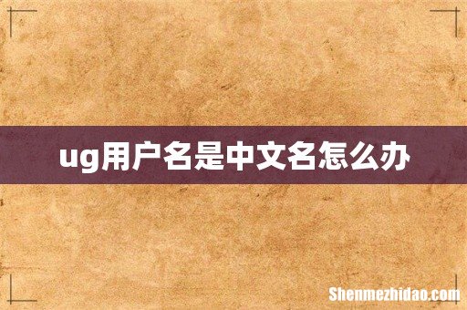 ug用户名是中文名怎么办