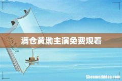 满仓黄渤主演免费观看
