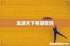 龙游天下有胡歌吗