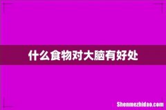 什么食物对大脑有好处