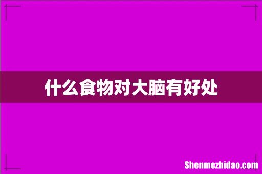 什么食物对大脑有好处