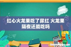 红心火龙果吃了尿红 火龙果隔夜还能吃吗