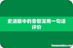 史进眼中的鲁智深用一句话评价