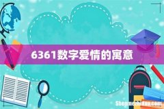 6361数字爱情的寓意