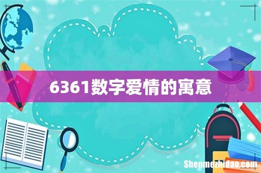 6361数字爱情的寓意