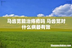 马齿苋能治痔疮吗 马齿笕对什么病最有效