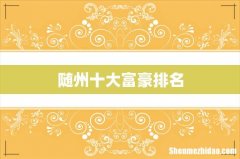 随州十大富豪排名
