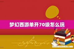 梦幻西游单开70级怎么玩