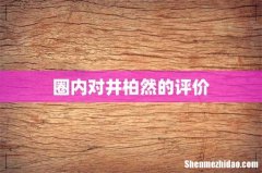 圈内对井柏然的评价