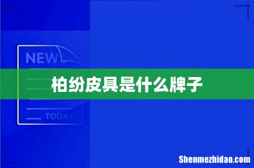 柏纷皮具是什么牌子
