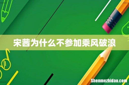 宋茜为什么不参加乘风破浪