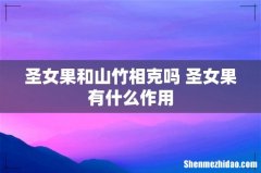 圣女果和山竹相克吗 圣女果有什么作用
