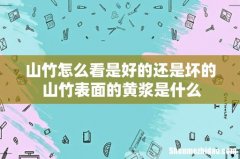山竹怎么看是好的还是坏的 山竹表面的黄浆是什么
