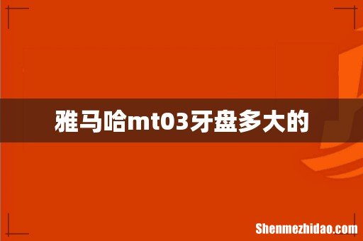 雅马哈mt03牙盘多大的
