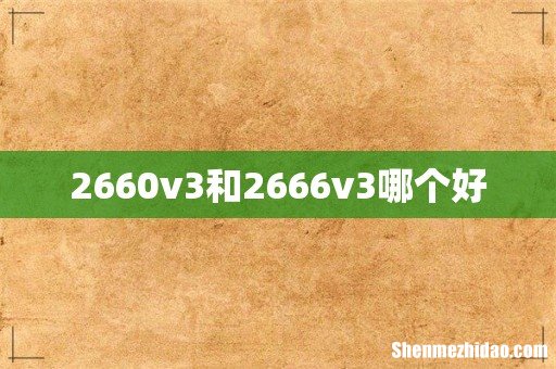 2660v3和2666v3哪个好