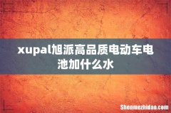 xupal旭派高品质电动车电池加什么水
