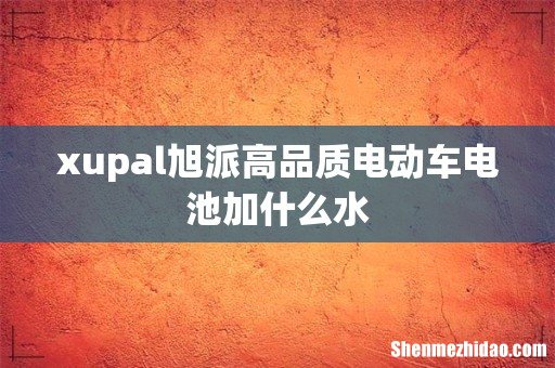 xupal旭派高品质电动车电池加什么水