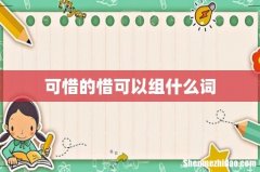可惜的惜可以组什么词