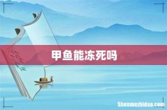 甲鱼能冻死吗