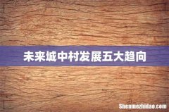 未来城中村发展五大趋向