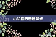 小约翰的爸爸是谁