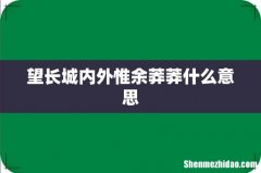 望长城内外惟余莽莽什么意思