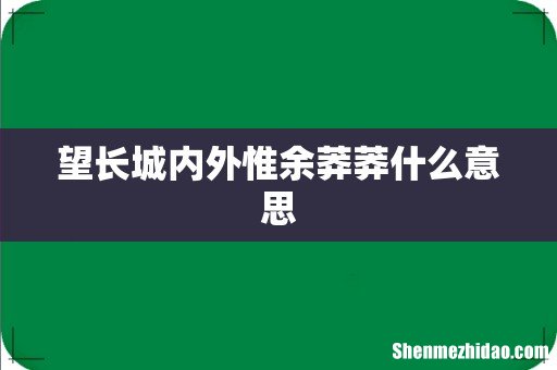 望长城内外惟余莽莽什么意思