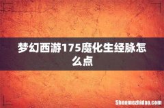 梦幻西游175魔化生经脉怎么点