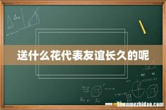 送什么花代表友谊长久的呢