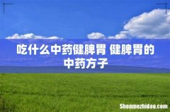 吃什么中药健脾胃 健脾胃的中药方子