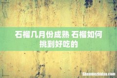 石榴几月份成熟 石榴如何挑到好吃的