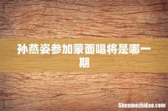 孙燕姿参加蒙面唱将是哪一期