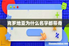 克罗地亚为什么名字都带奇