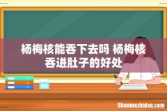 杨梅核能吞下去吗 杨梅核吞进肚子的好处
