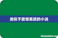 类似于震惊系统的小说